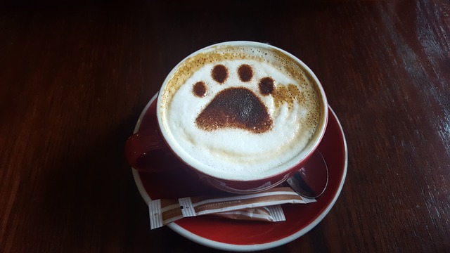 Kaffee-Kunst